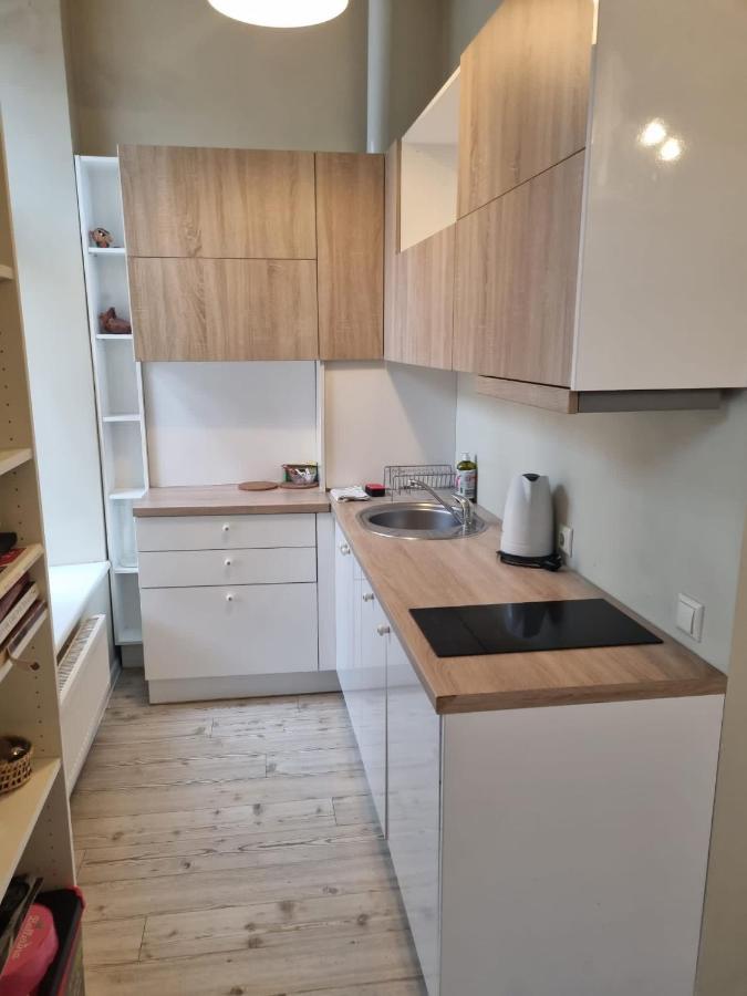 Igo Apartment Uzupis VNO Exterior foto